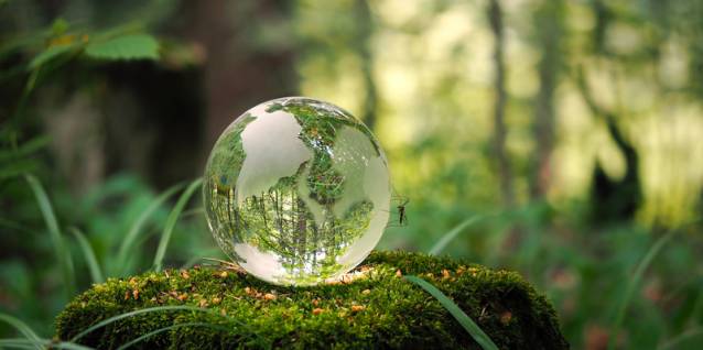 protection-environnement-globe