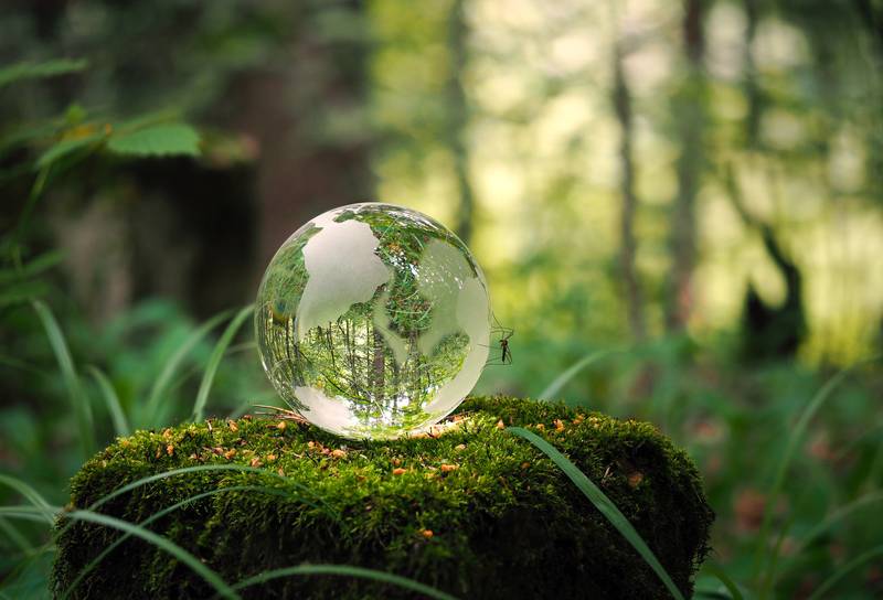protection-environnement-globe protection-environnement-globe