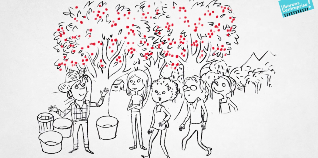 video-interdiction-monter-arbre