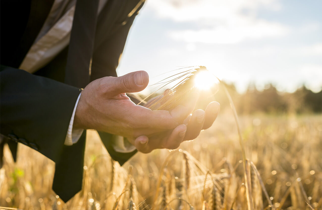 Ecologie business