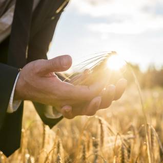 Ecologie business