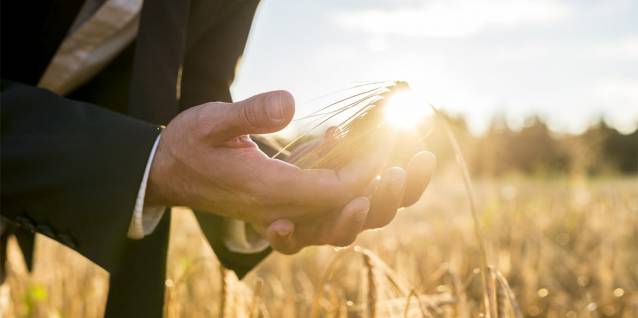 Ecologie business