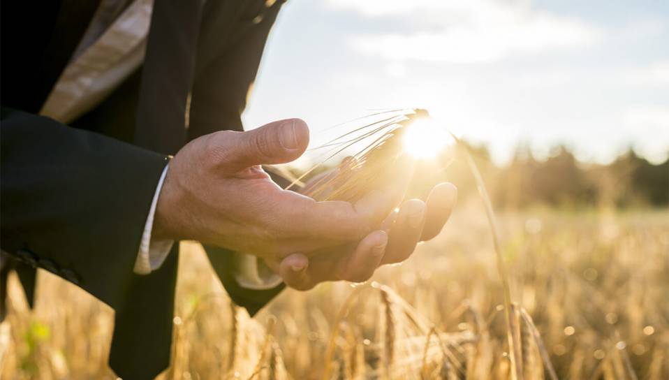 Ecologie business