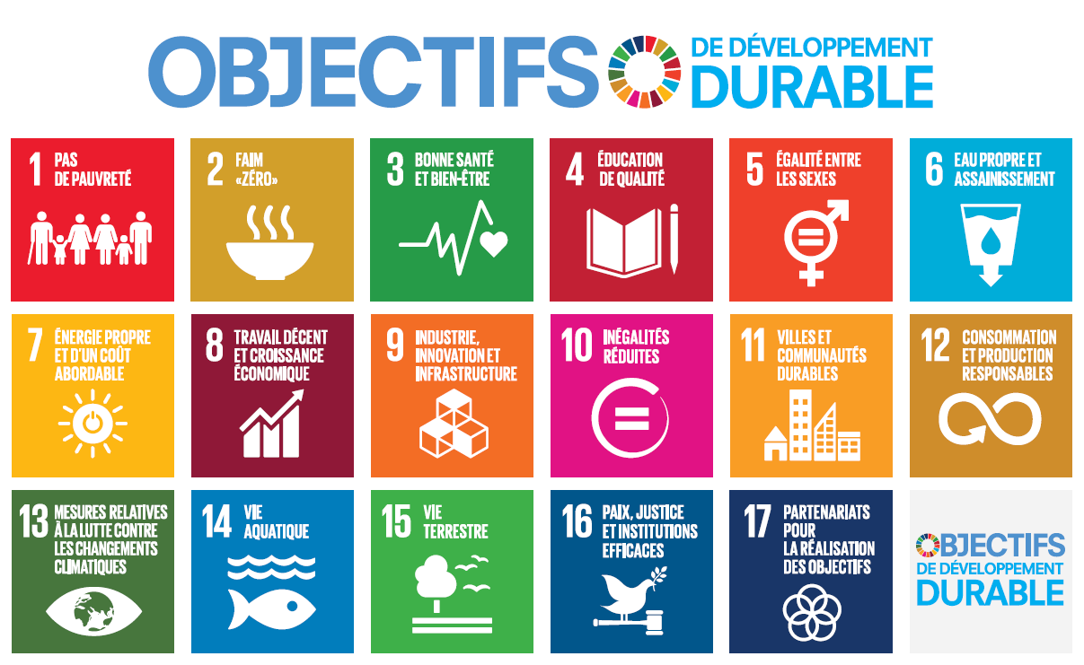 Les Objectifs de Développement Durable (ODD) : Quelles implications pour les entreprises ? Les Objectifs de Développement Durable (ODD) : Quelles implications pour les entreprises ?
