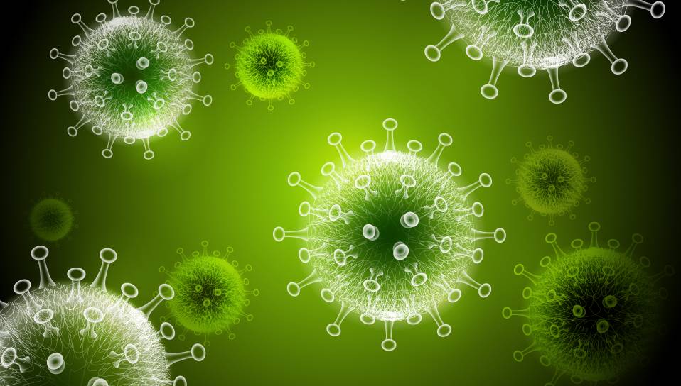 Coronavirus