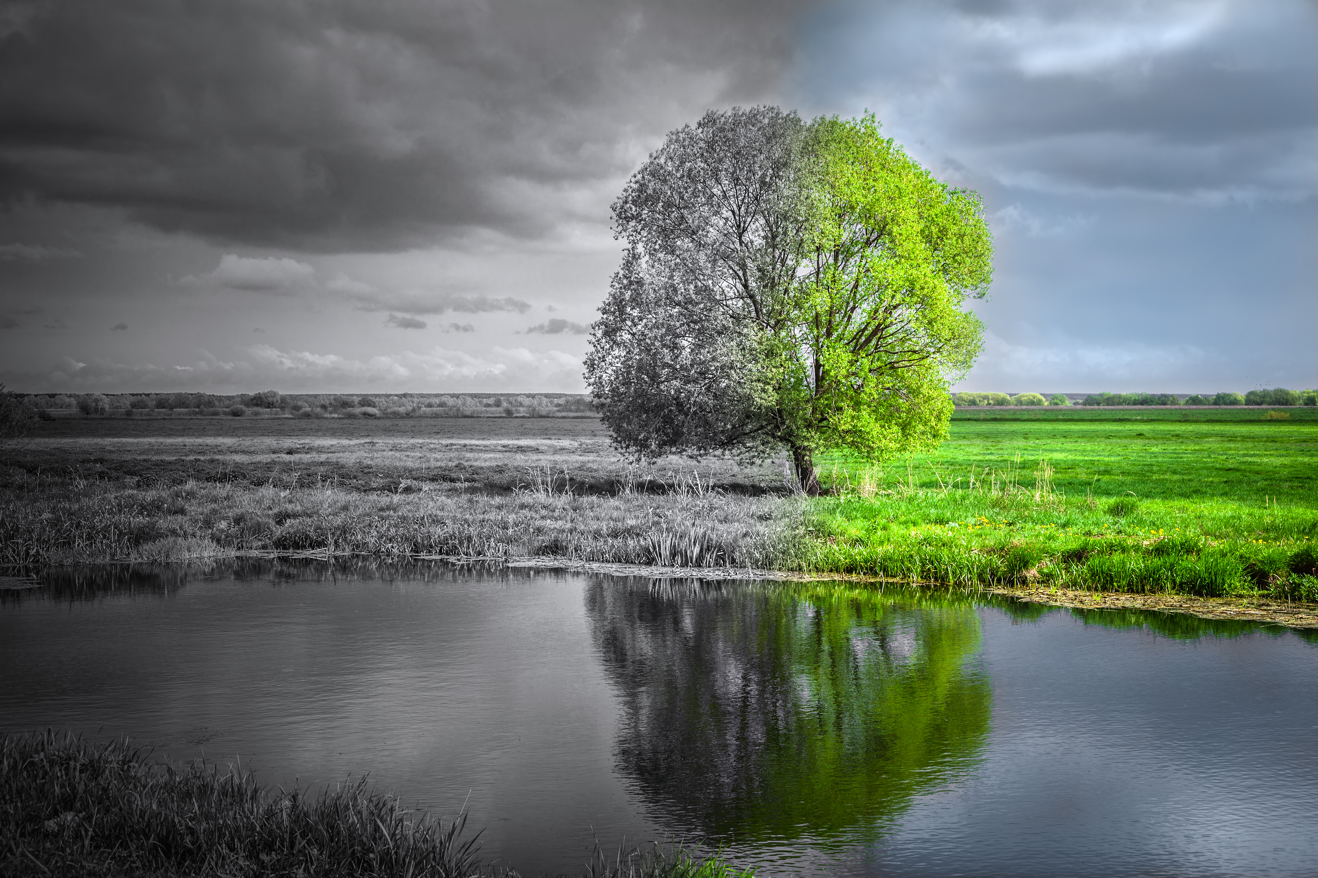 Transition écologique
