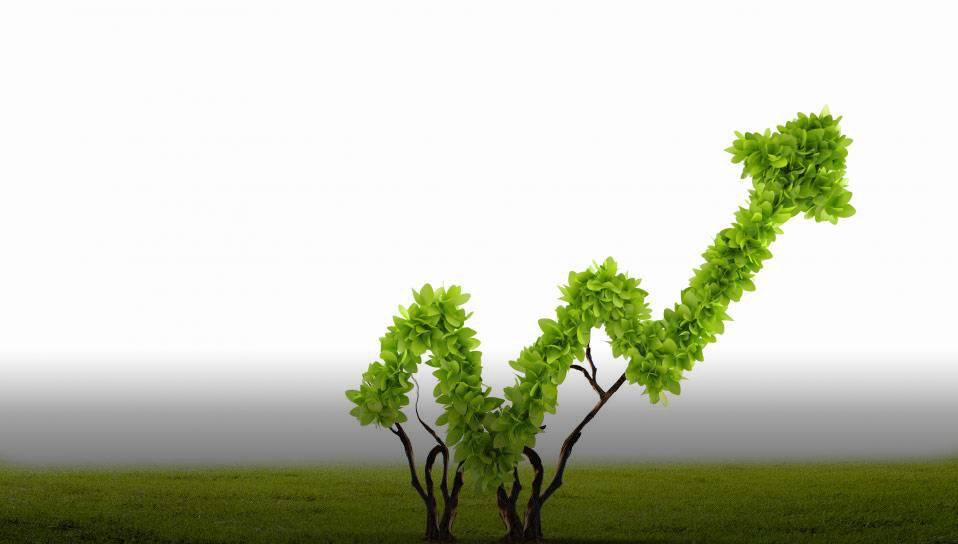 Croissance verte