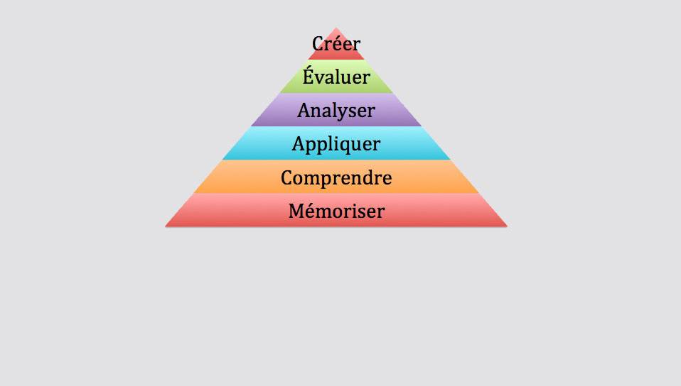 Taxonomie