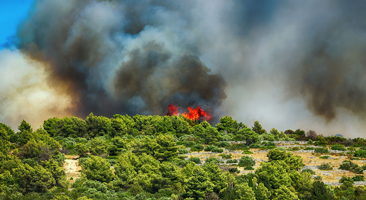 Incendies