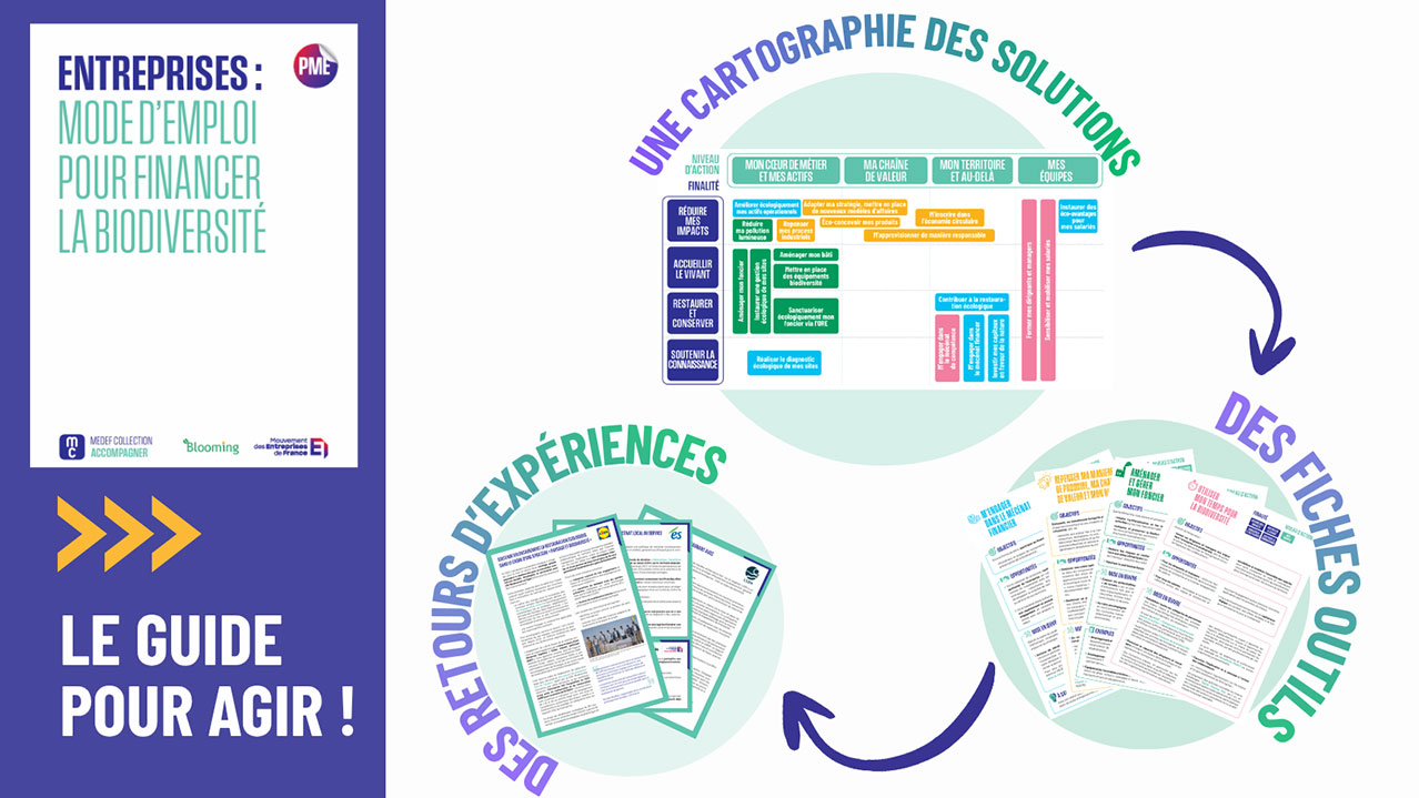 Entreprises: mode d’emploi pour financer la biodiversité